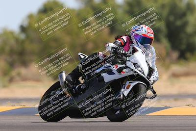 media/Mar-10-2024-SoCal Trackdays (Sun) [[6228d7c590]]/11-Turn 7 (130pm)/